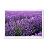DesignArt 'Blooming Purple Lavender Meadow' Farmhouse Dramed Art Print